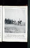 Illustrated War News Wednesday 29 December 1915 Page 7