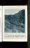 Illustrated War News Wednesday 29 December 1915 Page 13