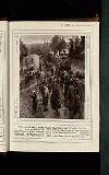 Illustrated War News Wednesday 29 December 1915 Page 19
