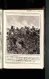 Illustrated War News Wednesday 05 January 1916 Page 17