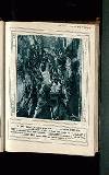 Illustrated War News Wednesday 05 January 1916 Page 43