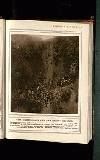 Illustrated War News Wednesday 12 January 1916 Page 15