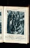 Illustrated War News Wednesday 16 February 1916 Page 31