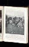 Illustrated War News Wednesday 01 March 1916 Page 45