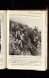 Illustrated War News Wednesday 08 March 1916 Page 37
