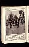 Illustrated War News Wednesday 15 March 1916 Page 40