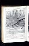 Illustrated War News Wednesday 15 March 1916 Page 46