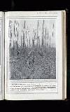 Illustrated War News Wednesday 17 May 1916 Page 7
