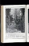 Illustrated War News Wednesday 17 May 1916 Page 48