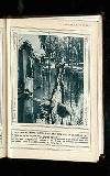 Illustrated War News Wednesday 07 June 1916 Page 15