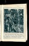 Illustrated War News Wednesday 07 June 1916 Page 23