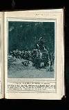 Illustrated War News Wednesday 07 June 1916 Page 31