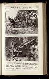 Illustrated War News Wednesday 12 July 1916 Page 11