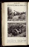 Illustrated War News Wednesday 19 July 1916 Page 22