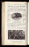 Illustrated War News Wednesday 19 July 1916 Page 30