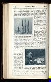 Illustrated War News Wednesday 19 July 1916 Page 32