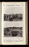 Illustrated War News Wednesday 19 July 1916 Page 35