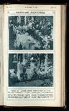 Illustrated War News Wednesday 16 August 1916 Page 19