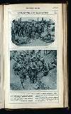 Illustrated War News Wednesday 16 August 1916 Page 31