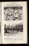 Illustrated War News Wednesday 30 August 1916 Page 29
