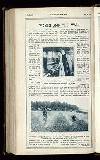 Illustrated War News Wednesday 30 August 1916 Page 38