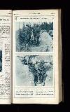Illustrated War News Wednesday 13 September 1916 Page 19