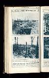 Illustrated War News Wednesday 13 September 1916 Page 22