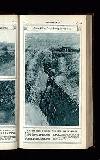 Illustrated War News Wednesday 20 September 1916 Page 11