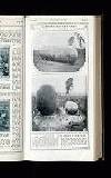 Illustrated War News Wednesday 27 September 1916 Page 41