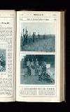 Illustrated War News Wednesday 04 October 1916 Page 19