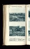 Illustrated War News Wednesday 01 November 1916 Page 14