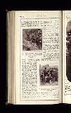 Illustrated War News Wednesday 01 November 1916 Page 32
