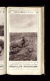 Illustrated War News Wednesday 08 November 1916 Page 11