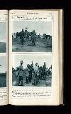 Illustrated War News Wednesday 08 November 1916 Page 29
