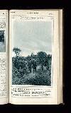 Illustrated War News Wednesday 08 November 1916 Page 33