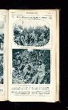 Illustrated War News Wednesday 22 November 1916 Page 17