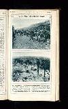 Illustrated War News Wednesday 22 November 1916 Page 21