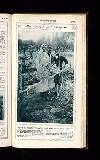 Illustrated War News Wednesday 22 November 1916 Page 33