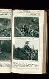 Illustrated War News Wednesday 06 December 1916 Page 29