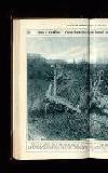 Illustrated War News Wednesday 27 December 1916 Page 24