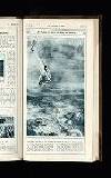 Illustrated War News Wednesday 14 February 1917 Page 31