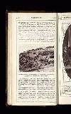 Illustrated War News Wednesday 21 February 1917 Page 32