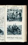 Illustrated War News Wednesday 07 March 1917 Page 33