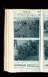 Illustrated War News Wednesday 02 May 1917 Page 22