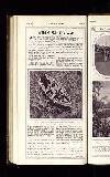 Illustrated War News Wednesday 01 August 1917 Page 38