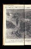 Illustrated War News Wednesday 08 August 1917 Page 14