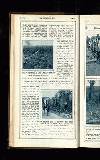 Illustrated War News Wednesday 08 August 1917 Page 20