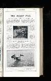 Illustrated War News Wednesday 08 August 1917 Page 41