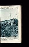 Illustrated War News Wednesday 31 October 1917 Page 15