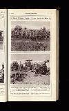 Illustrated War News Wednesday 31 October 1917 Page 29